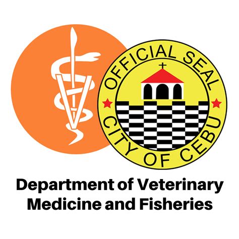 cebucity.gov.ph online services